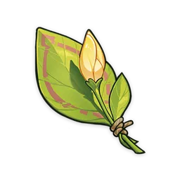 Нераспустившийся цветок